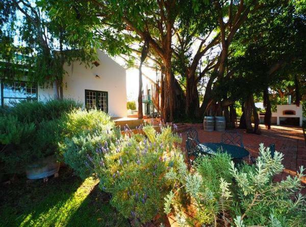 Appartement Tanagra Wine&Guestfarm à McGregor Extérieur photo